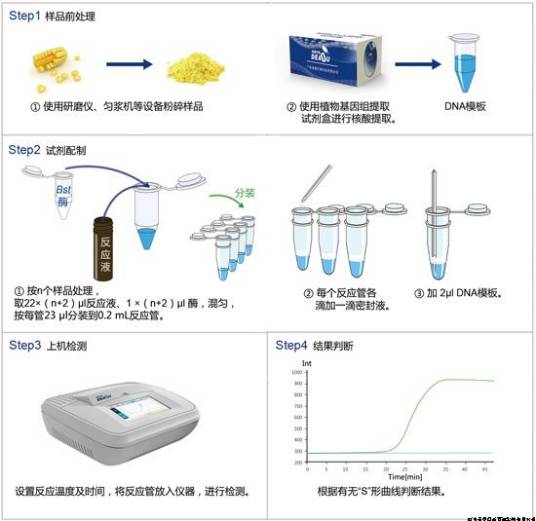 分子探针法