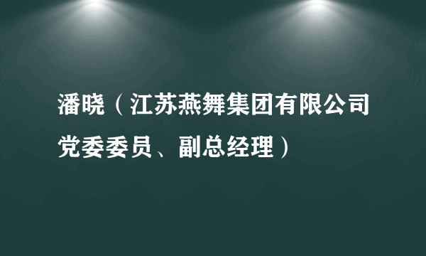 潘晓（江苏燕舞集团有限公司党委委员、副总经理）