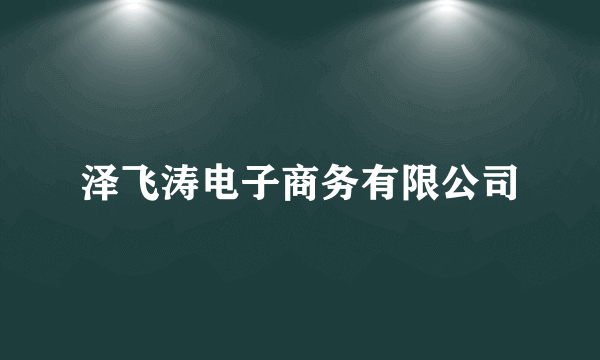 泽飞涛电子商务有限公司