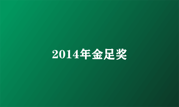 2014年金足奖