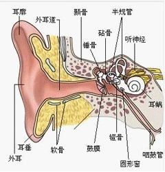 客观性耳鸣