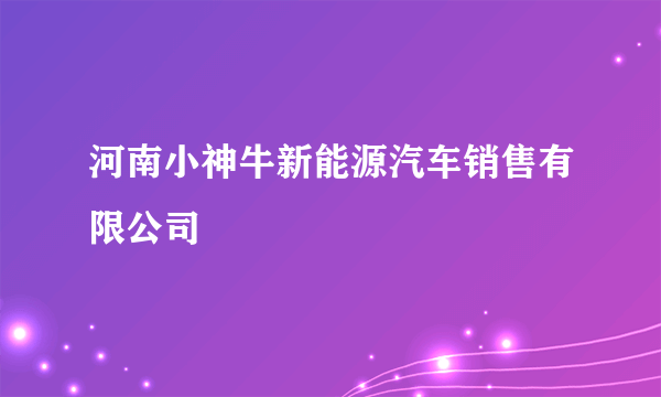 河南小神牛新能源汽车销售有限公司