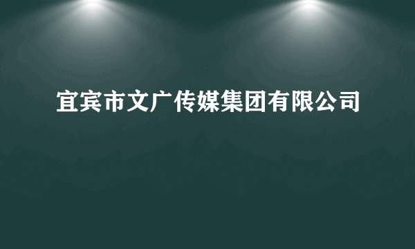 宜宾市文广传媒集团有限公司