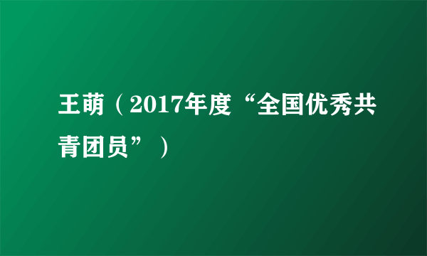 王萌（2017年度“全国优秀共青团员”）