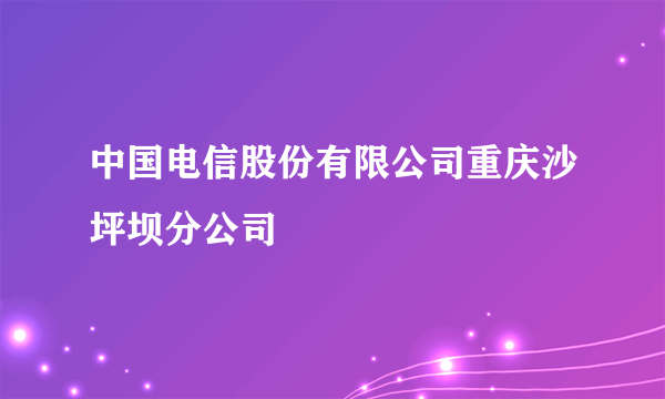 中国电信股份有限公司重庆沙坪坝分公司