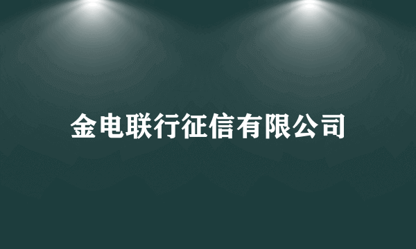 金电联行征信有限公司