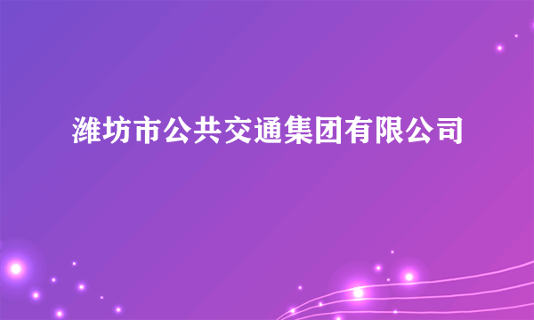 潍坊市公共交通集团有限公司