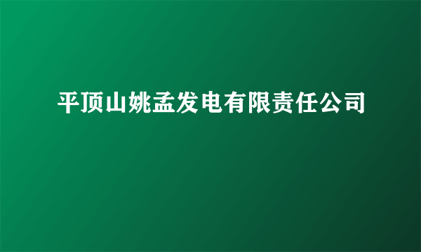 平顶山姚孟发电有限责任公司