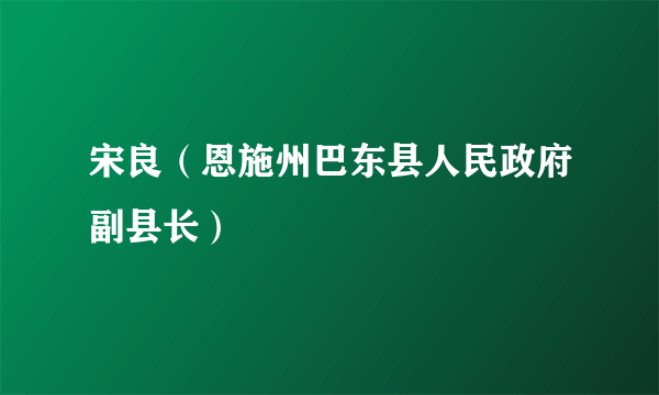 宋良（恩施州巴东县人民政府副县长）