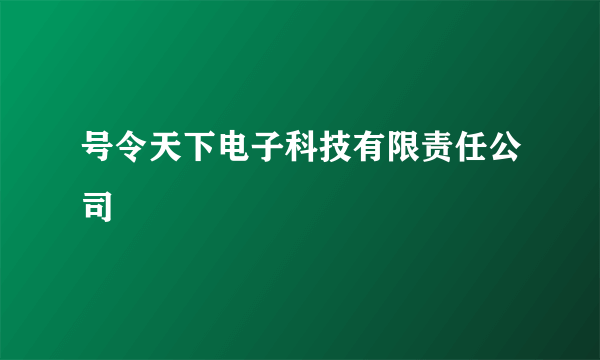 号令天下电子科技有限责任公司