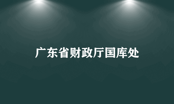 广东省财政厅国库处