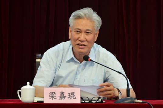 梁嘉琨（中国煤炭工业协会会长）