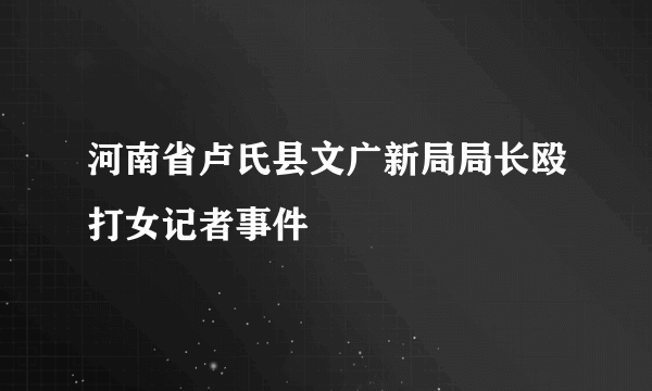 河南省卢氏县文广新局局长殴打女记者事件