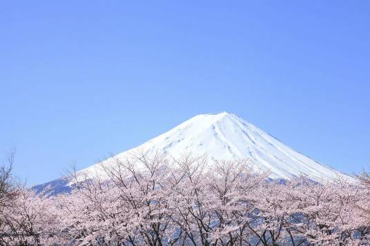 富士山