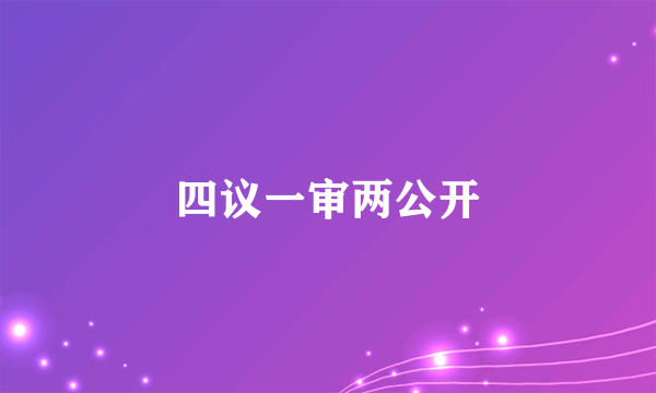 四议一审两公开