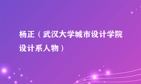 杨正（武汉大学城市设计学院设计系人物）