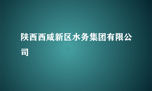 陕西西咸新区水务集团有限公司