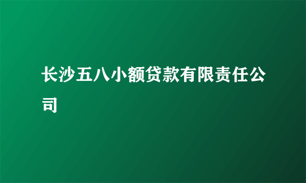 长沙五八小额贷款有限责任公司