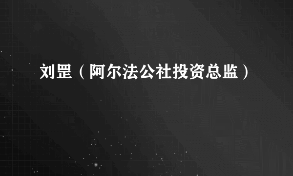 刘罡（阿尔法公社投资总监）