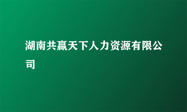 湖南共赢天下人力资源有限公司