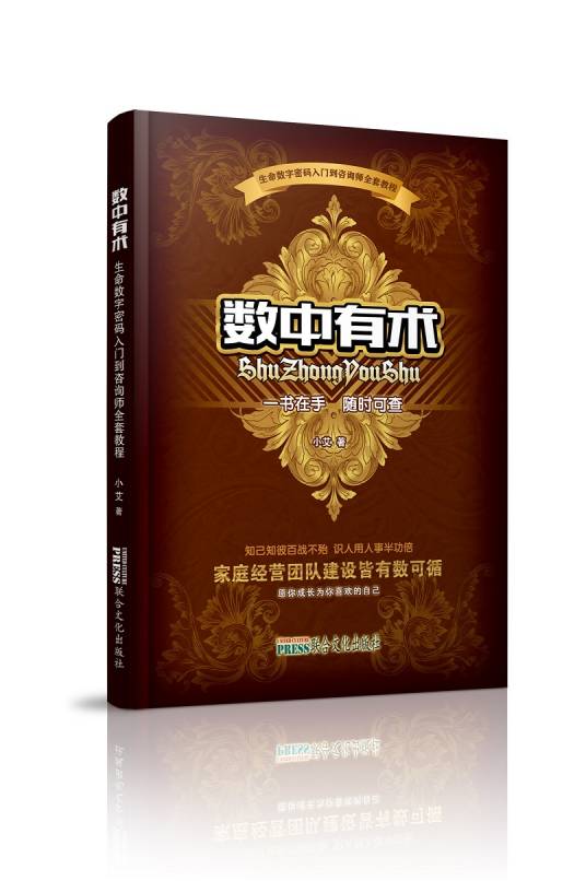 数中有术（2021年联合文化出版社出版的图书）