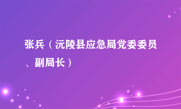 张兵（沅陵县应急局党委委员、副局长）