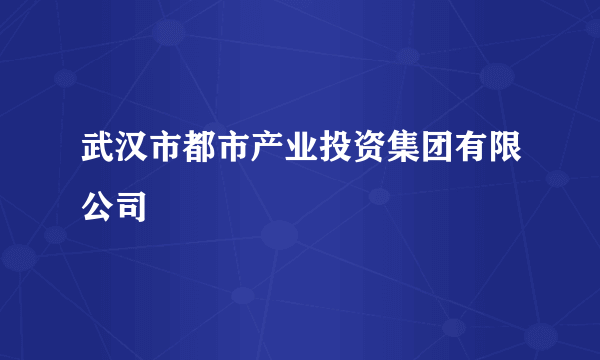 武汉市都市产业投资集团有限公司