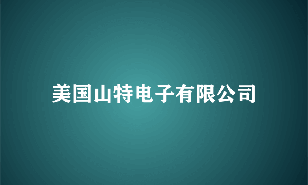 美国山特电子有限公司