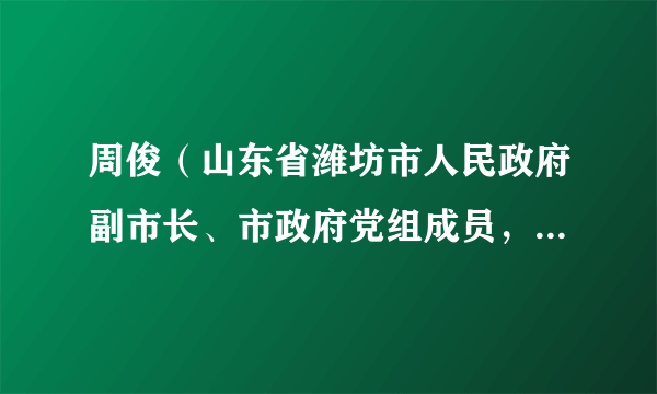 周俊（山东省潍坊市人民政府副市长、市政府党组成员，奎文区委书记、党校校长）