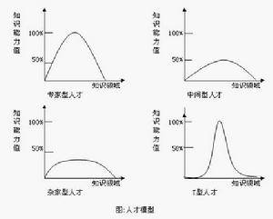 股东价值分析