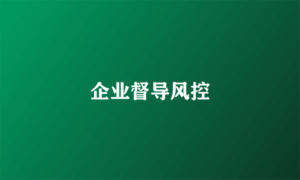 企业督导风控