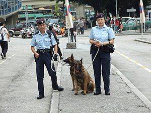 香港警犬队