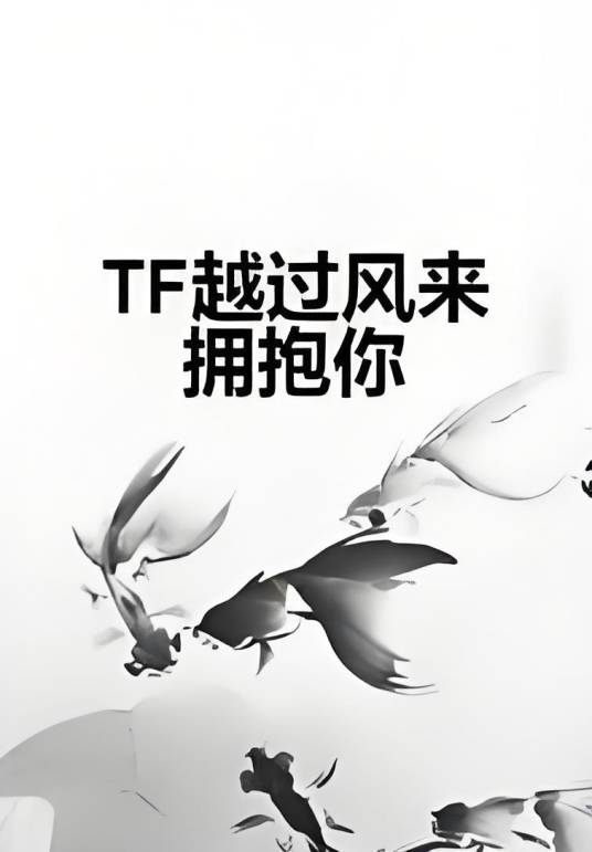 TF越过风来拥抱你