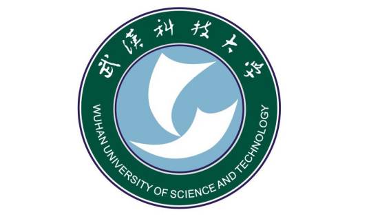 武汉科技大学国际学院