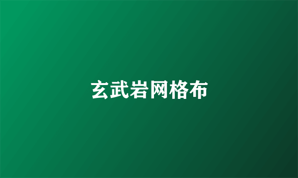 玄武岩网格布