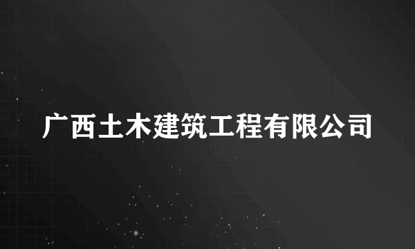 广西土木建筑工程有限公司