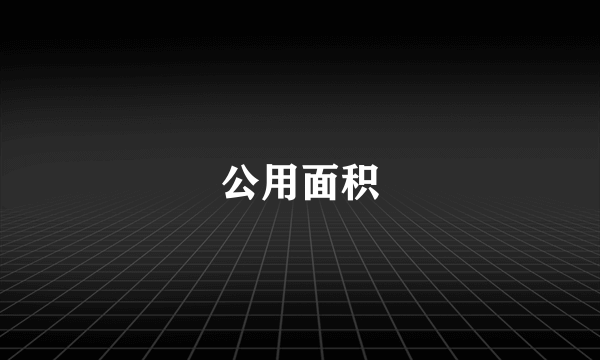 公用面积