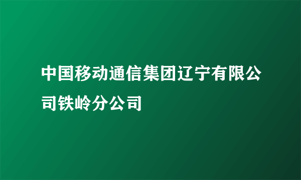 中国移动通信集团辽宁有限公司铁岭分公司