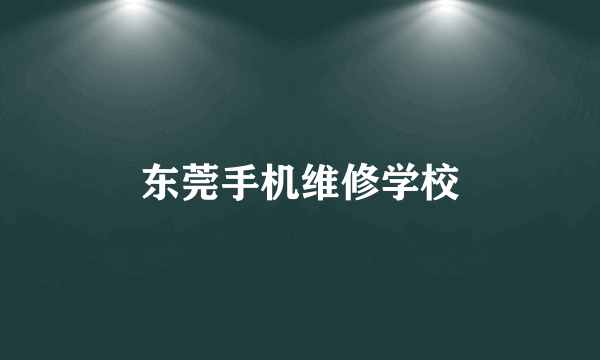 东莞手机维修学校