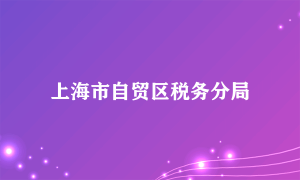 上海市自贸区税务分局