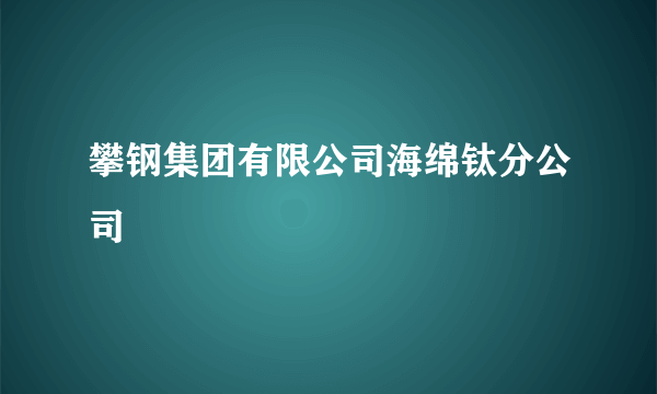 攀钢集团有限公司海绵钛分公司