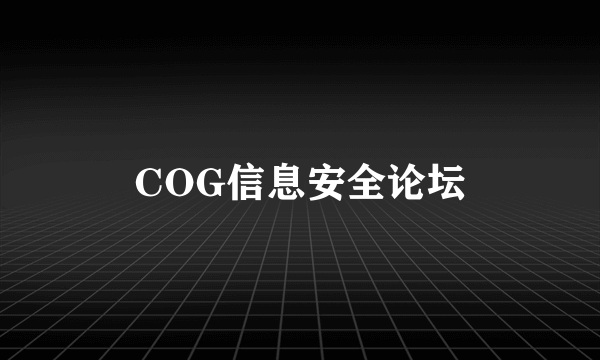 COG信息安全论坛