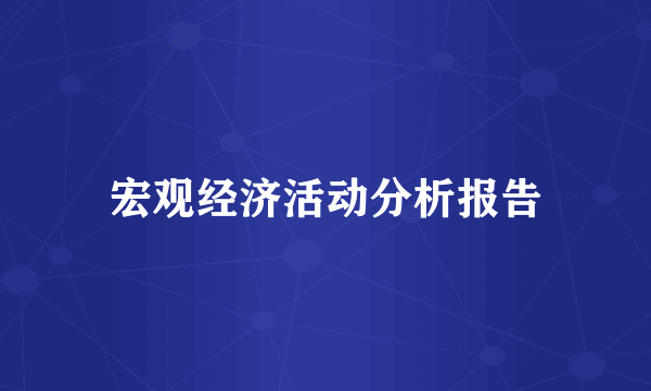 宏观经济活动分析报告