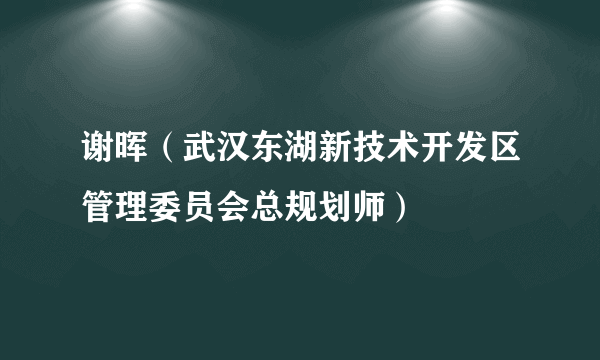 谢晖（武汉东湖新技术开发区管理委员会总规划师）