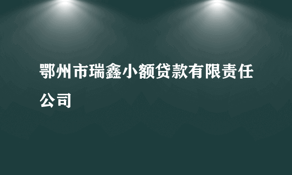 鄂州市瑞鑫小额贷款有限责任公司