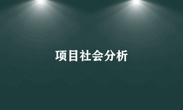 项目社会分析