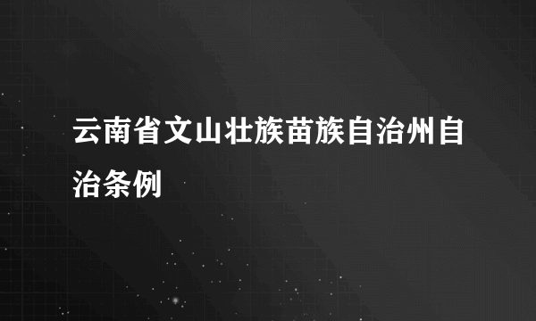 云南省文山壮族苗族自治州自治条例