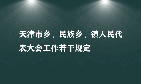 天津市乡、民族乡、镇人民代表大会工作若干规定