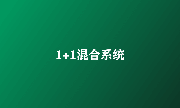 1+1混合系统