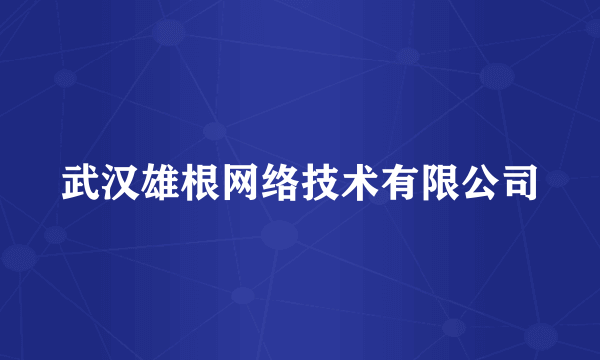 武汉雄根网络技术有限公司